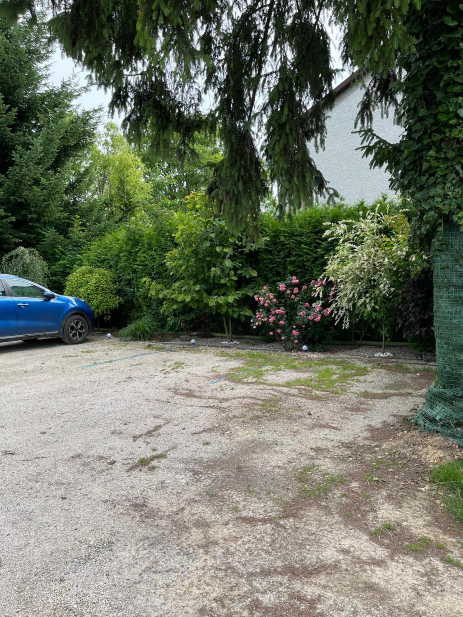 Apartament Ogrodowy Lägenhet Miechów Exteriör bild